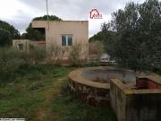 Rtiba tekilsa et en plein foret cote plage une villa sur 6800m²