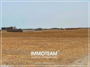 Terrain à vendre sabrine 21 256 253