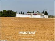 Terrain à vendre sabrine 21 256 253