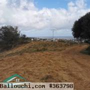 VT781Terrain d’habitation  440 m²à ezahra kelibia