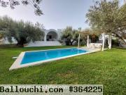 VILLA TAYSIR à Hammamet Zone Théâtre AL2547