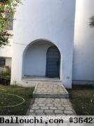DUPLEX MELODY à Hammamet Zone Théâtre AL2579