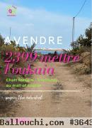 un terrain agricole de belle vue a foukaia chatt meriem