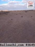 Terrain Agricole Magel Bel Abbes à Vendre à Kasserine
