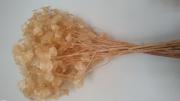 Fleurs crystal naturel