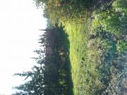 6 hectares a vendre
