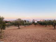 Terrain à vendre à Hammamet Sud 51355351