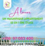 #alouer A louer Un grand S+3 en 1er étage 
