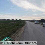 VT790:Terrain agricole 5966 m² à menzel temim