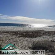 VT791:Terrain d’habitation 561 m² pieds dans l’eau  plage Ain Grinz Kelibia