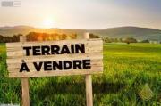 Ferme SALIMA (Réf: T1487)