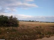 terrain magnifique a ne pas rater