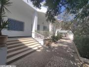 V251 Dar CHAMS HAMMAMET AS