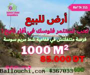 un terrain agricole de belle vue a foukaia chatt meriem