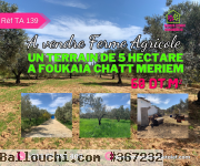 TaRéf139Terrainde5hectareafoukaiachattmeriem