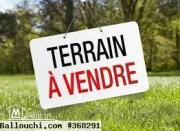 a vendre  un terrain a sahline