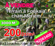 RéfTA382Terrainde3000m²àfoukaia200DTlem²