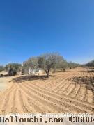 Terrain Iram 1 T1084 Hammamet el basbassia