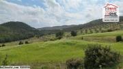 Terrain Agricole Mandarine à Vendre à Mornag