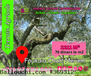 RéfTa387Terrainde2211m²àFoukaiaChattMeriem