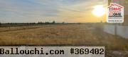 Terrain Agricole Jemma à Vendre à Béjaoua