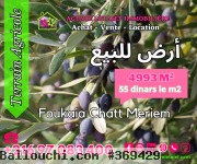 RéfTA375Terrainde4993m²a#FoukaiaChottMeriem