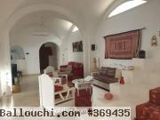 Villa Leonardo AL2897 Hammamet zone theatre