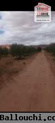 Terrain Agricole Zelina à Vendre à Sidi Aich
