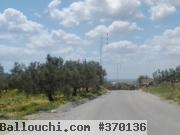 500 m2 à 5 km d'Hammamet centre