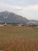 Terrain 2197m2 Mornag Ksibi