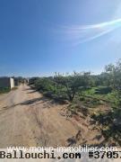 TERRAIN GINA Hammamet Birbouregba T1085