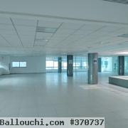 Très beau bureau 870m² hs au lac 2
