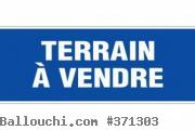A vendre terrain sidi Hamed Hammamet