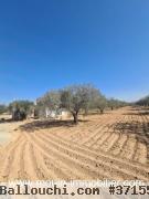 Terrain Iram 1 T1084 Hammamet el basbassia