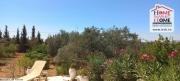 Villa Roseli avec piscine à Louer à Nabeul