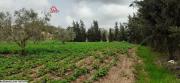 Beni Khiar,2,6 hectares sabloneux avec titre foncier