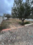 Hammamet,tout prés  du théatre,un terrain cloturé  de 1000 m² a vendre