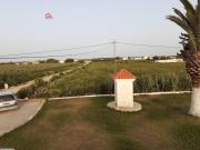 Korba,11 hectares à vendre  sur la grande route