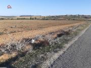 korba , un terrain de 5hectares6000m² sur le goudronne