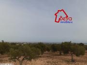 Maamoura , Un terrain Vu mer de 2000m² à 160 Mdt