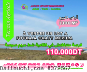 un terrain agricole de belle vue a foukaia chatt meriem
