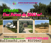 Ferme a Foukaia chatt Meriem de 2242 m² 