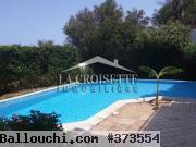 villa s+6 avec piscine à gammarth