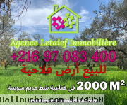 Très belle offre pour un terrain agricole de 2000 m² a foukaia