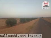 Terrain Agricole BEDIA à Vendre à Sidi Aich