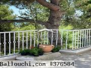 Villa s+3 vue sur mer à la Marsa MVL0515
