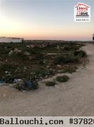 Terrain Promoteur Corléon À Vendre À Sidi Salah