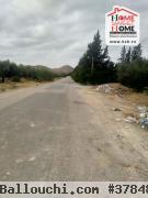 Terrain Agricole Yigit à Vendre à Cebelet Ben Ammar