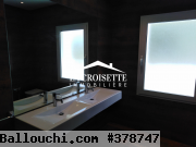 Appartement s+4 avec piscine commune aux berges du lac 1 ZAL0427