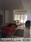 Villa Nasr 2 T970 Hammamet sud vers bouficha